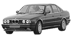 BMW E34 P0161 Fault Code