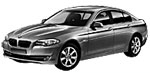 BMW F10 P0161 Fault Code